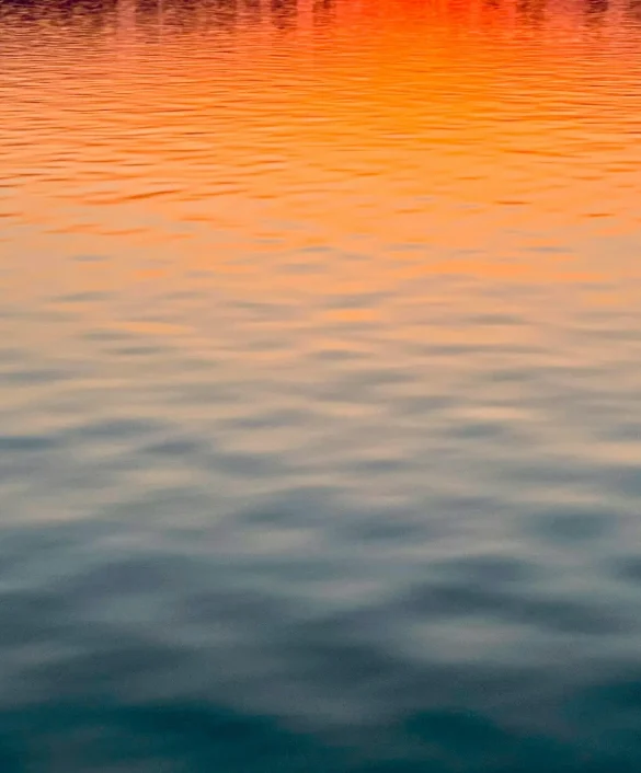 todd-jiang-ujrZ8TPZka8-unsplash Sunset gradient on the water surface